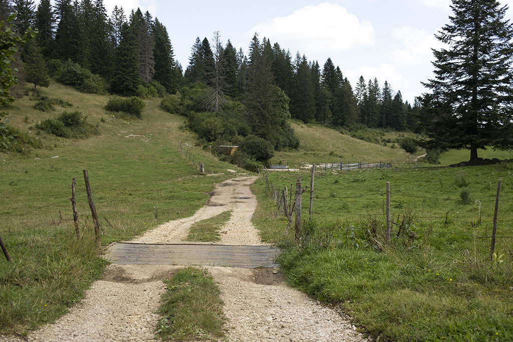 doubs itinéraire gravel route vélo large piste chemin forestier