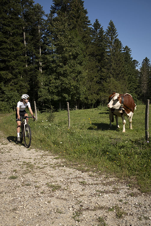 doubs itinéraire gravel large piste vélo lac vache champs