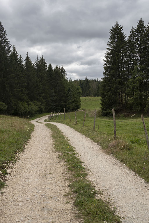 doubs itinéraire gravel route vélo chemin forestier