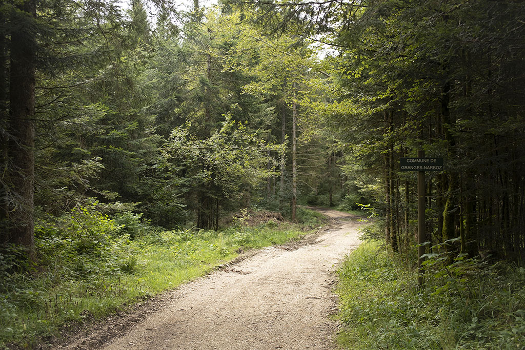 doubs itinéraire gravel route vélo chemin forestier