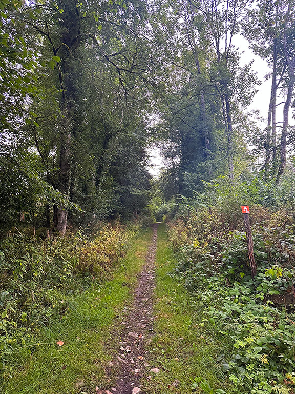 Morteau doubs gravel itinéraire route singles champs chemins piste forestière GTJ