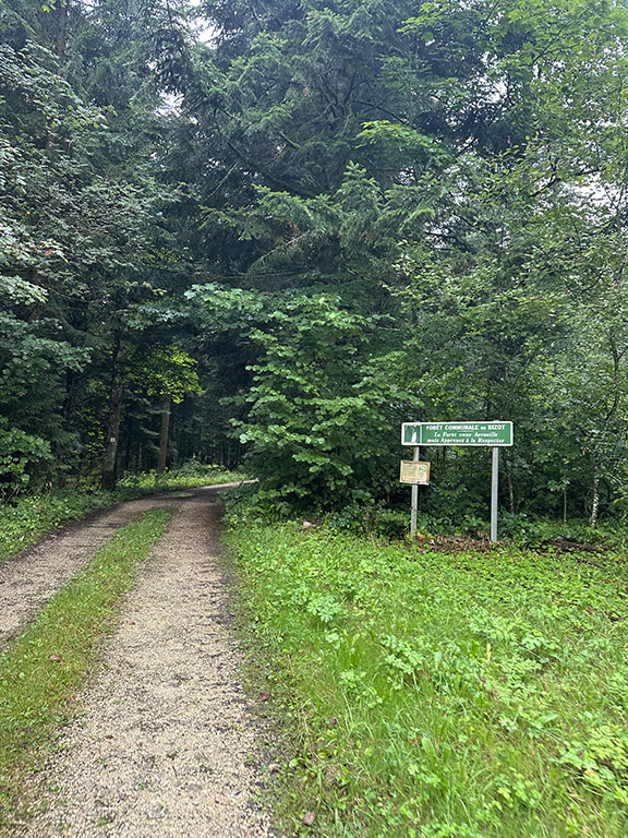 Morteau doubs gravel itinéraire route singles champs chemins piste forestière