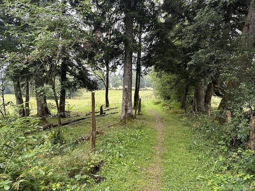 Morteau doubs gravel itinéraire route singles champs chemins