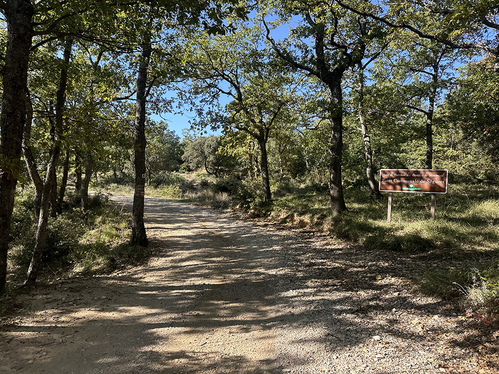 chemin gravel forêt de Séguret