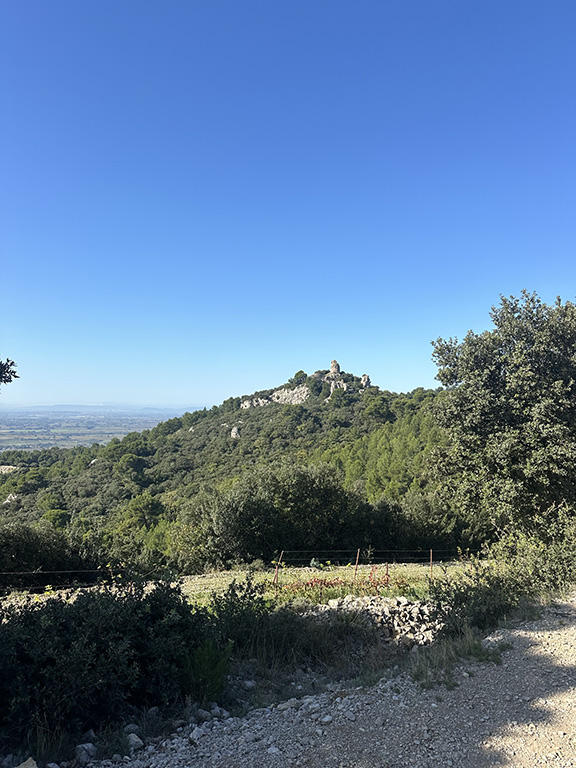 chemin itinéraire gravel tour des dentelles de montmirail provence